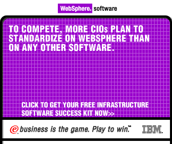 WebSphere software.  e-business is the game.